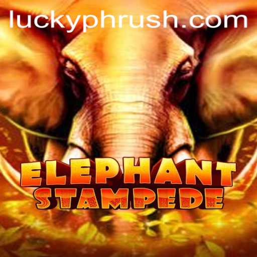 Unleashing the Adventure: ElephantStampede Takes Center Stage